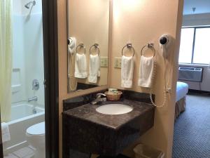 a bathroom with a sink and a toilet and a mirror at Luxury Inn & Suites in Silverthorne