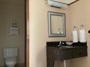 a bathroom with a sink and a toilet and a mirror at Luxury Inn & Suites in Silverthorne +45 photos