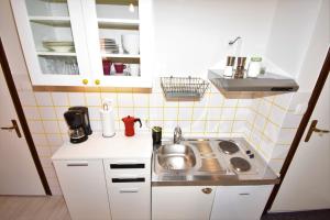 Kuchyňa alebo kuchynka v ubytovaní Studio Apartments SKORIC Opatija Volosko