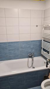 a bathroom with a bath tub with a shower at Apartmani Marčetić in Slavonski Brod