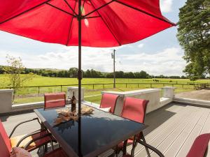 Zahrada ubytování Coolcormack Stud B&B + 25 fotografií