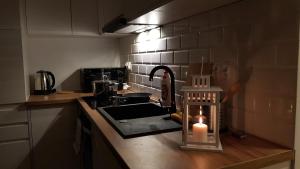 Kuchyňa alebo kuchynka v ubytovaní Apartament Zamkowy
