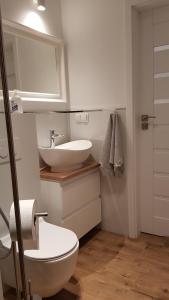 Kúpeľňa v ubytovaní Apartament Zamkowy