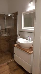 Kúpeľňa v ubytovaní Apartament Zamkowy