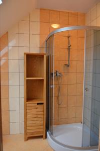 a bathroom with a shower and a tub at Agroturystyka Leśny Potok in Fredropol