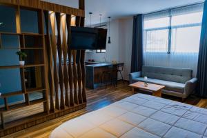 a living room with a bed and a couch and a television at Hotel San Carlos in La Barca