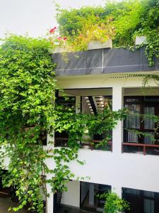 a white building with plants on the side of it at Villa A & A Hikkaduwa in Hikkaduwa