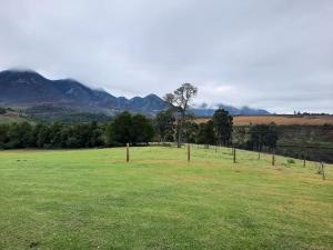 a field with a tree and mountains in the background at Sable Hill in George