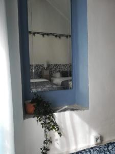 a mirror on a wall with a potted plant at la casita in Le Bourg-dʼOisans +13 photos