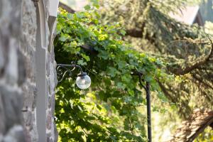 A garden outside Ladurnerhof Boutique Apartments Meran