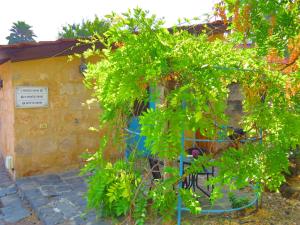 Billede fra billedgalleriet på THE MANSION in yesod hamaala i Yesud HaMa'ala + 45 billeder