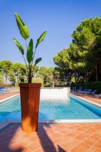 Фотография из галереи Fortuna Resort в городе Кьянчано-Терме