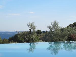 une piscine bleue avec des arbres en arrière-plan dans l'établissement Tenuta Ponziani - Griffin's Resort, à Morrano