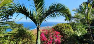 a palm tree and flowers in front of the ocean at Le Chalet la Fontaine Saint Leu in Saint-Leu