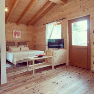 1 dormitorio con 1 cama, TV y puerta en I Larici Camping Lodge, en Ossana