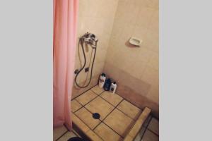 a bathroom with a shower with a tiled floor at Iliana's courtyard in Evdilos