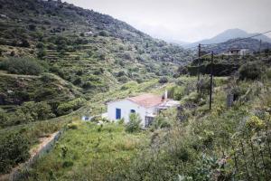 a house on the side of a mountain at Iliana's courtyard in Evdilos