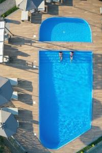two birds standing in the water in a swimming pool at Costa D' Ifesto in Agios Ioannis Kaspaka