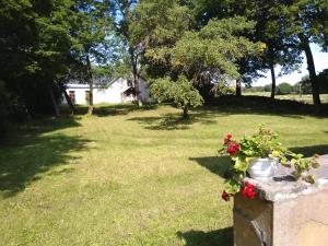 Zahrada ubytování Paali cottages