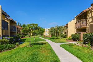 Κήπος έξω από το Departamento completo en San Diego hablamos español
