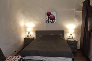 a bedroom with a bed and two night stands with lamps at Old Town Baltic Antique Lai street Privat entrance in Tallinn