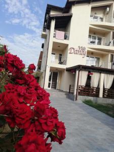 a bunch of red roses in front of a building at Vila Danly in Costinesti