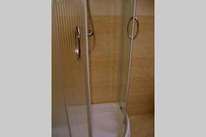 eine Dusche mit Glastür im Badezimmer in der Unterkunft Platán Vendégház in Izvoare + 57 Fotos