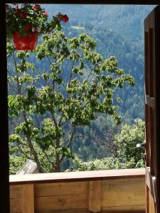 Gallery image of Biohof Sattler in Etmissl