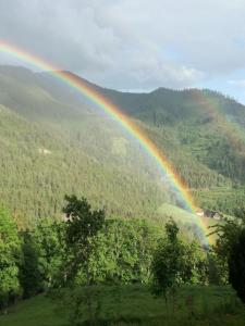 Gallery image of Biohof Sattler in Etmissl
