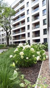 Zahrada ubytování Vena apartment