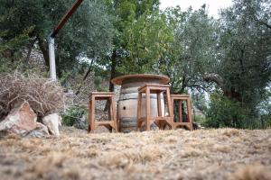 Zahrada ubytování Le Dimore di Mariuccia Relax & SPA