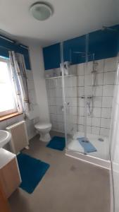 baño con ducha y aseo con alfombras azules en Ferienwohnung Beck, en Trassenheide