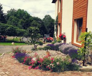 a garden of flowers in front of a house at DomTurystyki Rodzinnej " Żabi Dołek " in Duszniki Zdrój