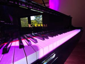 a piano is lit up with purple lights at Pension Oybin in Oybin