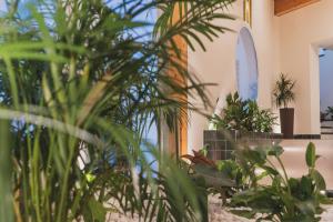 Zahrada ubytování Hotel Pradillo Conil