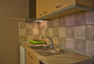 A kitchen or kitchenette at House Spanos Még 37 kép