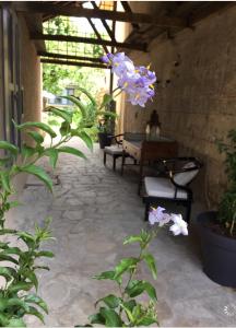 une terrasse avec des fleurs et des bancs violets dans l'établissement Un jardin en ville, à Sarlat-la-Canéda