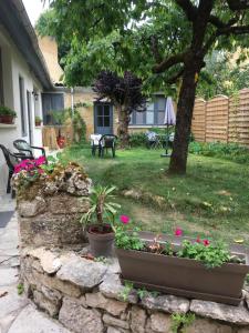 a yard with a stone wall and some plants at Un jardin en ville in Sarlat-la-Canéda
