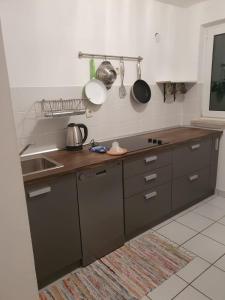 a kitchen with a counter top with pots and pans at Apartman Rosa 2 in Kustići