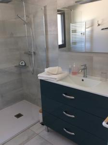 uma casa de banho com um lavatório e um chuveiro em Du Côté de Chez Paule, chambre avec entrée indépendante et salle d'eau privative em Séméac