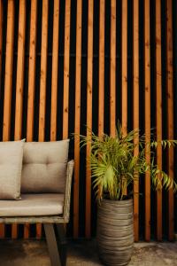 a chair and a plant in front of a wooden wall at O Cantinho dos Cabrais in Inguias