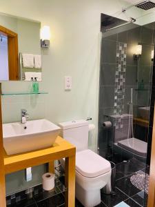 a bathroom with a toilet and a sink and a shower at Millers House Boutique B&B in Emsworth