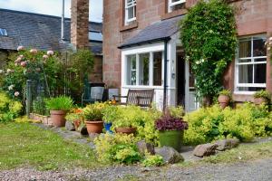 a garden with potted plants in front of a house at Camlann in Alyth