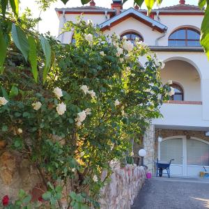 Zahrada ubytování Knez Apartmani
