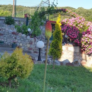 Zahrada ubytování Knez Apartmani