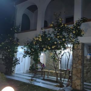 Zahrada ubytování Knez Apartmani
