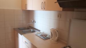 Kitchen o kitchenette sa Apartmani Slavka