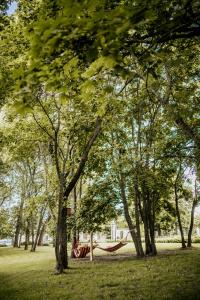 Dwór Mościbrody في سيدلس: حديقة فيها أشجار وأرجوحة في العشب