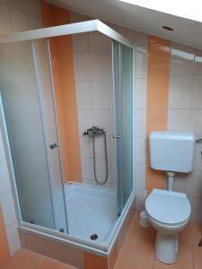 uma casa de banho com um chuveiro e um WC. em Apartman Martina em Rab