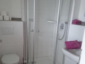 a bathroom with a shower with a toilet and a sink at "Natur pur" Refugium für Mensch und Tier in Horgenzell